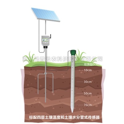 管式猫咪视频网站墒情監測站