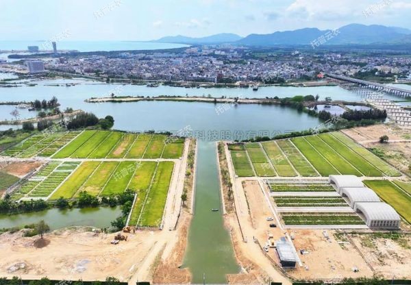 耐鹽堿水稻科研試驗基地建設解決方案