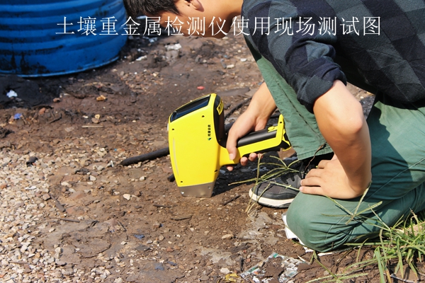 猫咪视频网站重金屬檢測儀使用現場測試圖 猫咪视频网站重金屬檢測儀使用現場測試圖