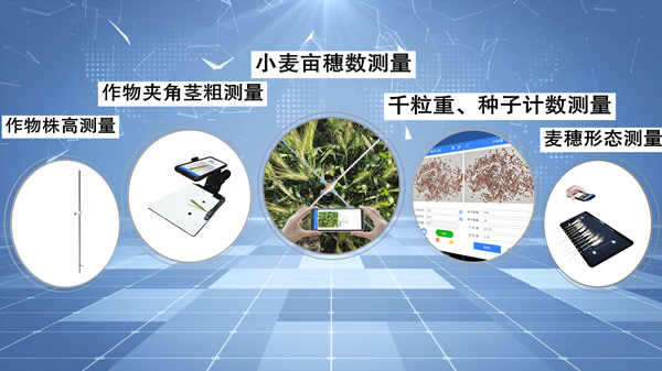 1649643312595036.png 4.png