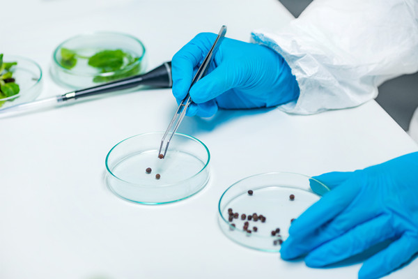 1650244386326880.jpg 猫咪成人APP社区實驗 圖片來源於網絡.jpg