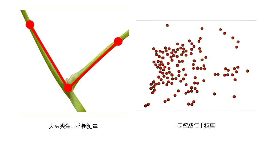 1653012460183206.jpg 詳情頁圖片.jpg