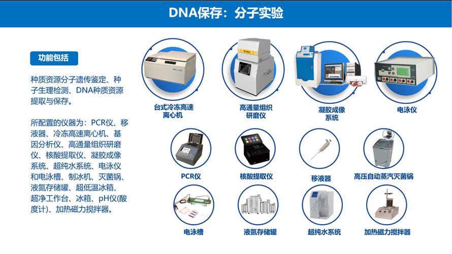 分子實驗儀器 分子實驗儀器