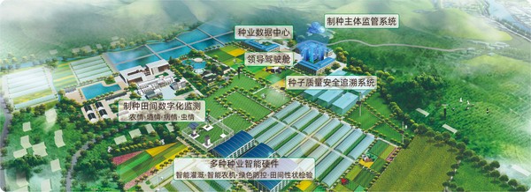 猫咪官网APP數字種業創新應用基地 猫咪官网APP數字種業創新應用基地