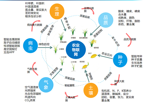猫咪官网APP打造的全要素智能采集係統 猫咪官网APP打造的全要素智能采集係統
