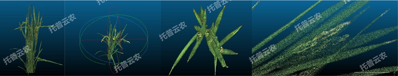 1723011632835180.jpg 盆栽植物三維數字表型采集分析係統_副本.jpg