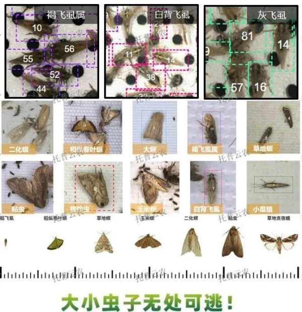 1725066582391120.jpg 3_副本.jpg