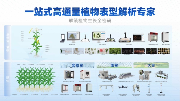 1755565137641375.jpg 植物表型產品集合_副本.jpg